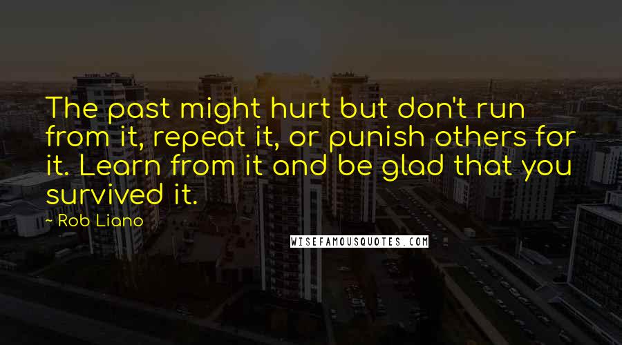 Rob Liano Quotes: The past might hurt but don't run from it, repeat it, or punish others for it. Learn from it and be glad that you survived it.