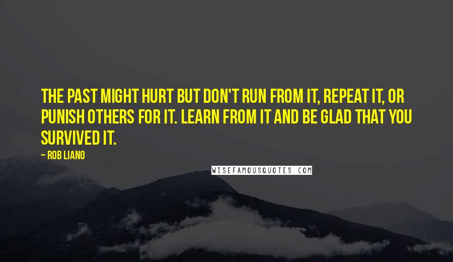 Rob Liano Quotes: The past might hurt but don't run from it, repeat it, or punish others for it. Learn from it and be glad that you survived it.