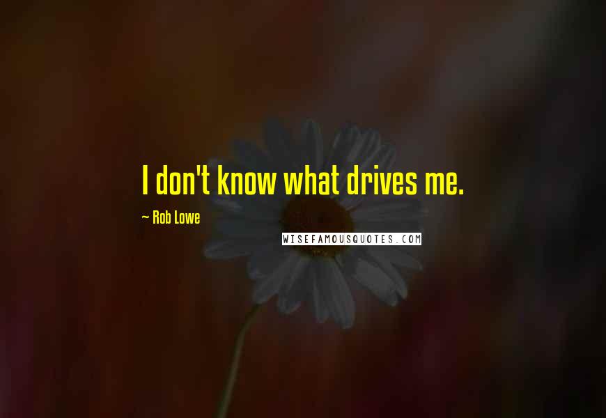 Rob Lowe Quotes: I don't know what drives me.