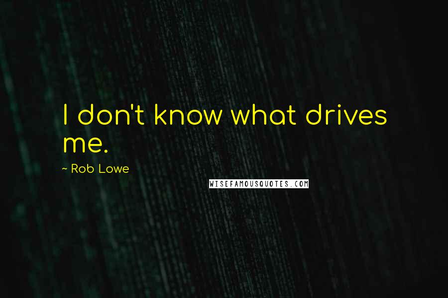 Rob Lowe Quotes: I don't know what drives me.