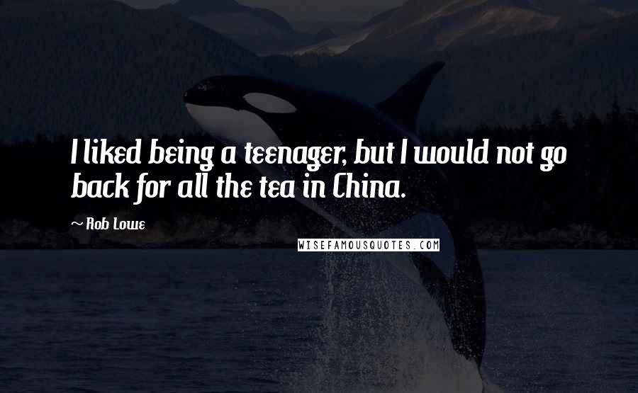 Rob Lowe Quotes: I liked being a teenager, but I would not go back for all the tea in China.