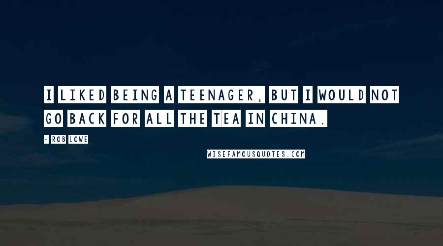 Rob Lowe Quotes: I liked being a teenager, but I would not go back for all the tea in China.