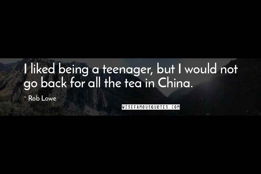 Rob Lowe Quotes: I liked being a teenager, but I would not go back for all the tea in China.