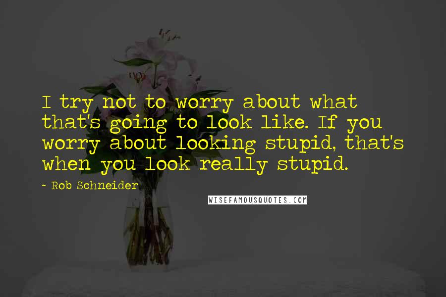 Rob Schneider Quotes: I try not to worry about what that's going to look like. If you worry about looking stupid, that's when you look really stupid.