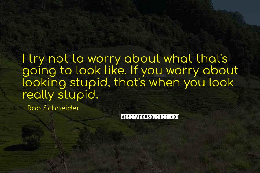Rob Schneider Quotes: I try not to worry about what that's going to look like. If you worry about looking stupid, that's when you look really stupid.