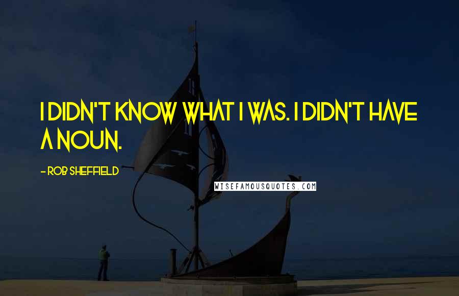 Rob Sheffield Quotes: I didn't know what I was. I didn't have a noun.