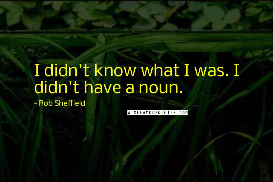 Rob Sheffield Quotes: I didn't know what I was. I didn't have a noun.