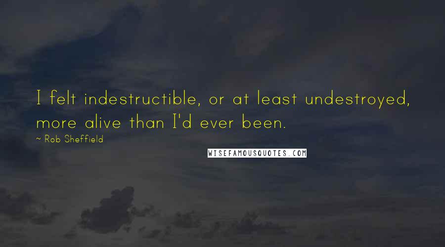 Rob Sheffield Quotes: I felt indestructible, or at least undestroyed, more alive than I'd ever been.