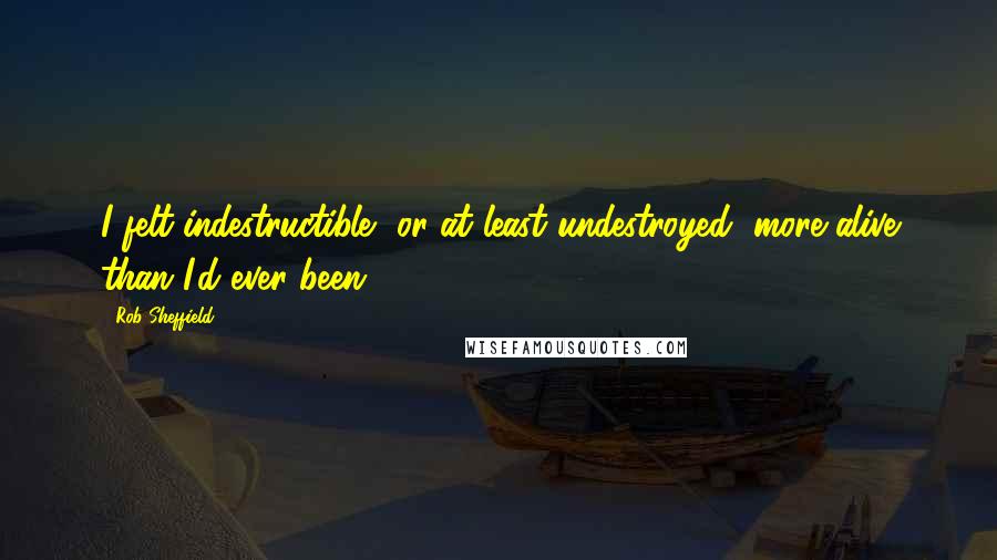 Rob Sheffield Quotes: I felt indestructible, or at least undestroyed, more alive than I'd ever been.