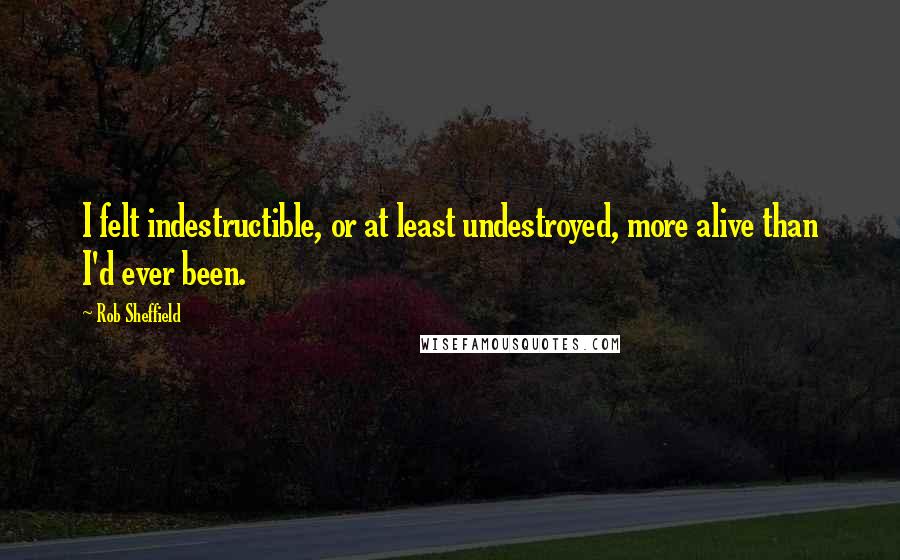 Rob Sheffield Quotes: I felt indestructible, or at least undestroyed, more alive than I'd ever been.