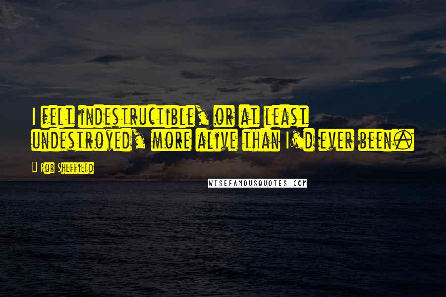 Rob Sheffield Quotes: I felt indestructible, or at least undestroyed, more alive than I'd ever been.