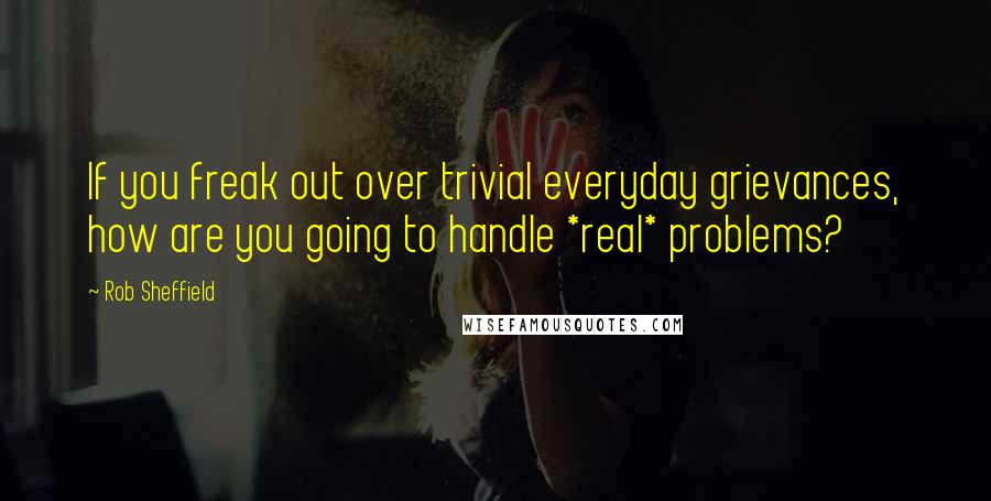 Rob Sheffield Quotes: If you freak out over trivial everyday grievances, how are you going to handle *real* problems?