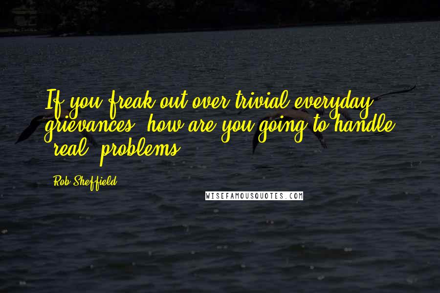 Rob Sheffield Quotes: If you freak out over trivial everyday grievances, how are you going to handle *real* problems?