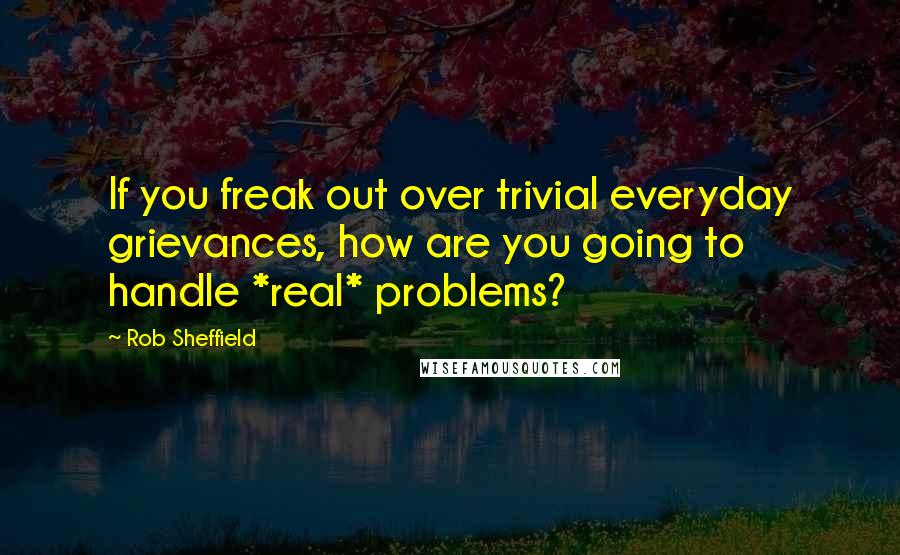 Rob Sheffield Quotes: If you freak out over trivial everyday grievances, how are you going to handle *real* problems?