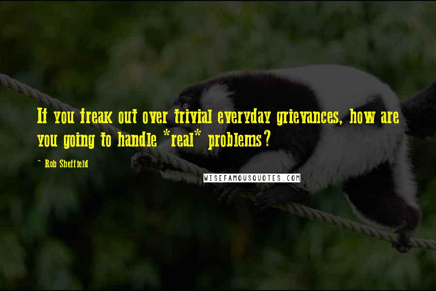 Rob Sheffield Quotes: If you freak out over trivial everyday grievances, how are you going to handle *real* problems?