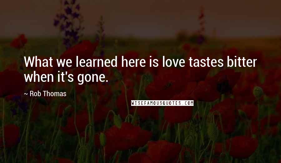 Rob Thomas Quotes: What we learned here is love tastes bitter when it's gone.