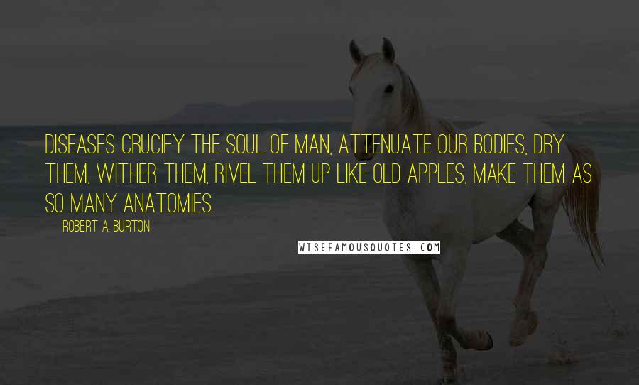 Robert A. Burton Quotes: Diseases crucify the soul of man, attenuate our bodies, dry them, wither them, rivel them up like old apples, make them as so many Anatomies.