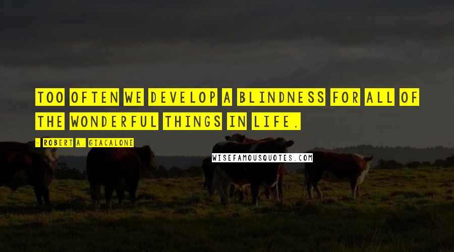 Robert A. Giacalone Quotes: Too often we develop a blindness for all of the wonderful things in life.