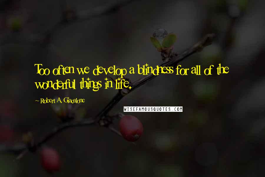 Robert A. Giacalone Quotes: Too often we develop a blindness for all of the wonderful things in life.