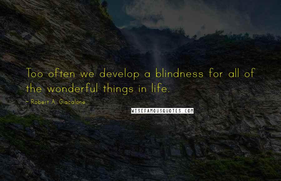 Robert A. Giacalone Quotes: Too often we develop a blindness for all of the wonderful things in life.