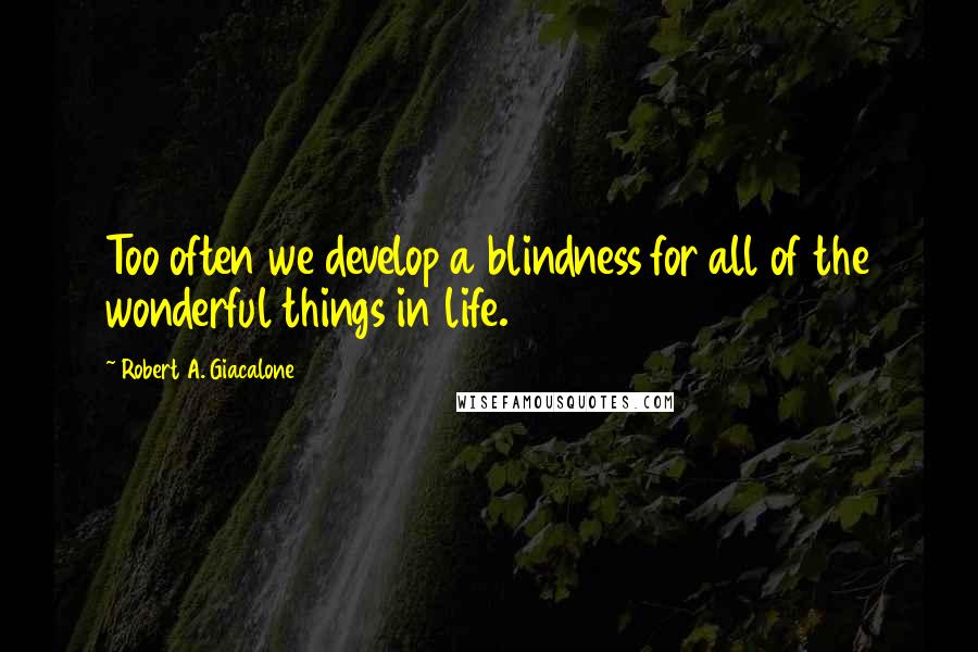 Robert A. Giacalone Quotes: Too often we develop a blindness for all of the wonderful things in life.