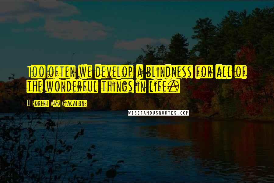 Robert A. Giacalone Quotes: Too often we develop a blindness for all of the wonderful things in life.