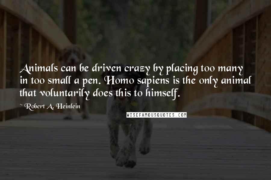 Robert A. Heinlein Quotes: Animals can be driven crazy by placing too many in too small a pen. Homo sapiens is the only animal that voluntarily does this to himself.