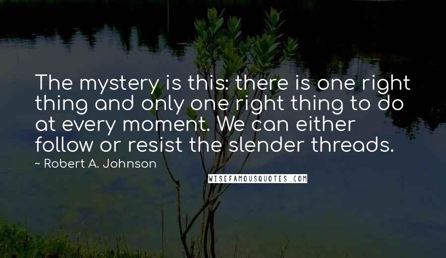 Robert A. Johnson Quotes: The mystery is this: there is one right thing and only one right thing to do at every moment. We can either follow or resist the slender threads.