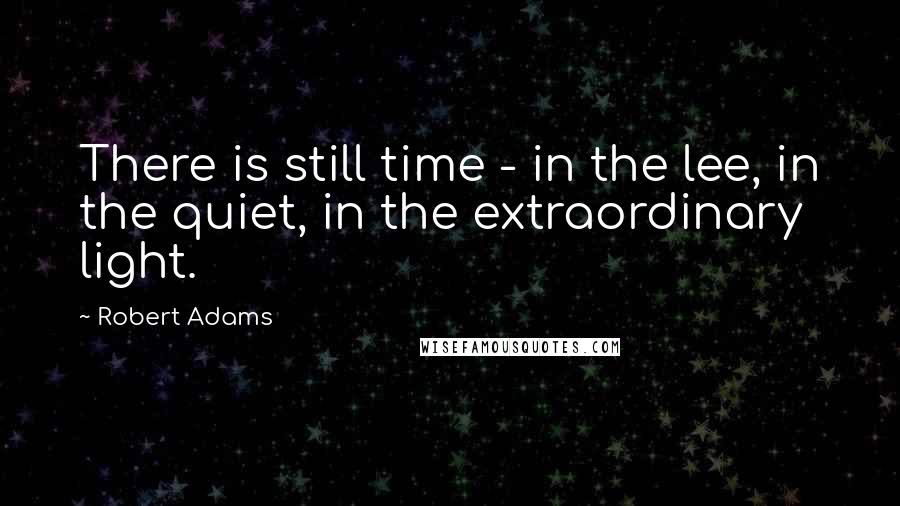 Robert Adams Quotes: There is still time - in the lee, in the quiet, in the extraordinary light.