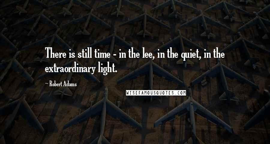 Robert Adams Quotes: There is still time - in the lee, in the quiet, in the extraordinary light.