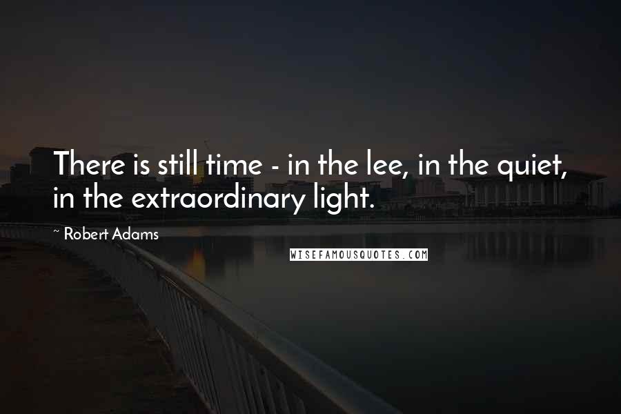Robert Adams Quotes: There is still time - in the lee, in the quiet, in the extraordinary light.