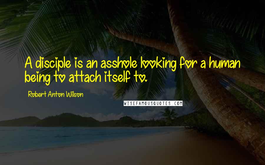 Robert Anton Wilson Quotes: A disciple is an asshole looking for a human being to attach itself to.