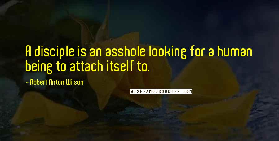 Robert Anton Wilson Quotes: A disciple is an asshole looking for a human being to attach itself to.