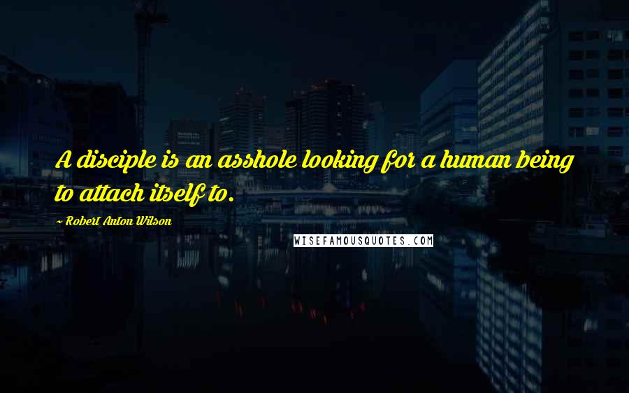 Robert Anton Wilson Quotes: A disciple is an asshole looking for a human being to attach itself to.