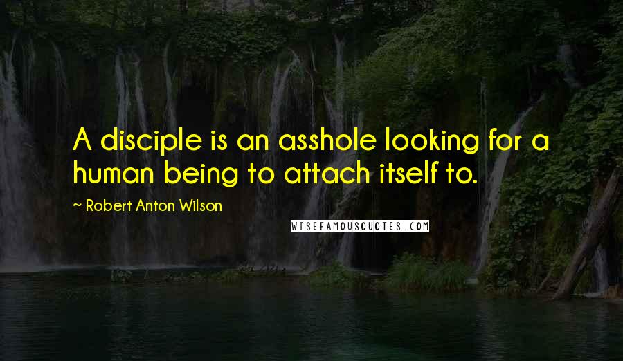 Robert Anton Wilson Quotes: A disciple is an asshole looking for a human being to attach itself to.