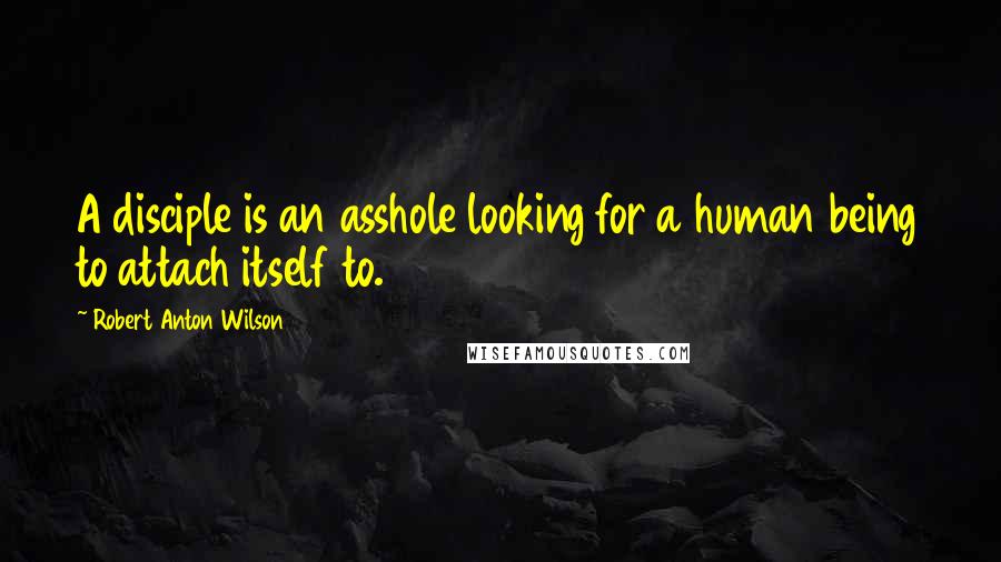 Robert Anton Wilson Quotes: A disciple is an asshole looking for a human being to attach itself to.