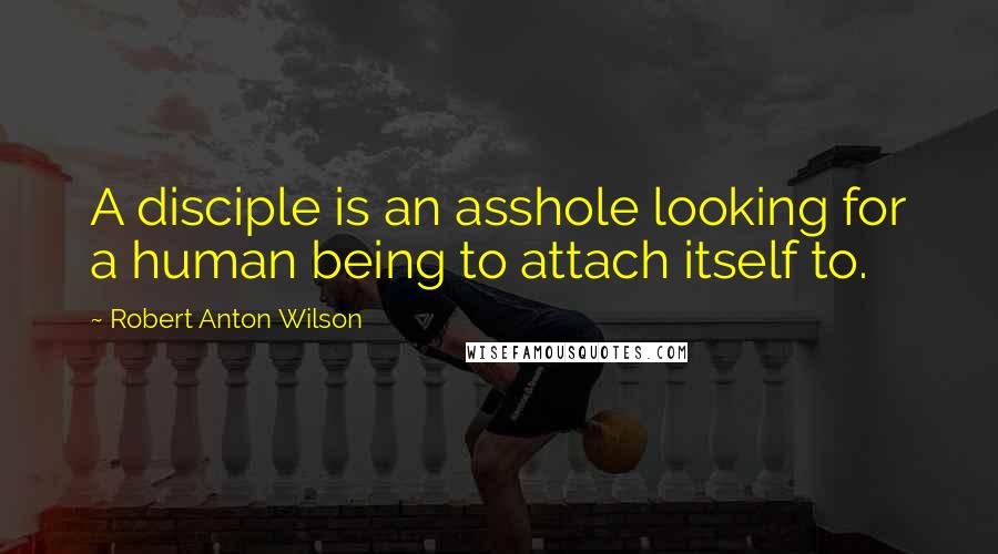 Robert Anton Wilson Quotes: A disciple is an asshole looking for a human being to attach itself to.