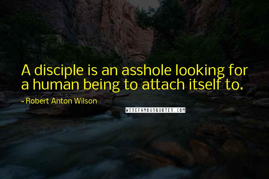 Robert Anton Wilson Quotes: A disciple is an asshole looking for a human being to attach itself to.