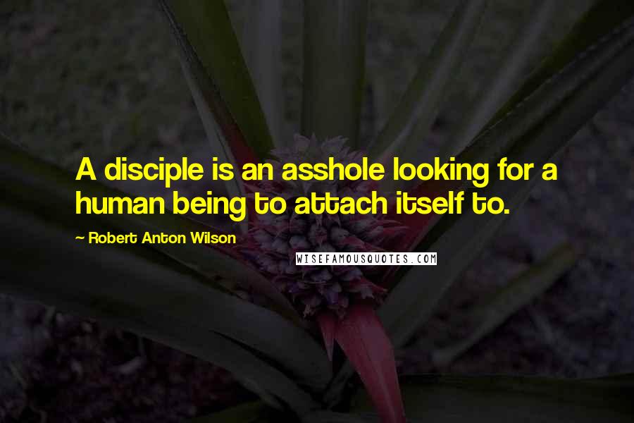 Robert Anton Wilson Quotes: A disciple is an asshole looking for a human being to attach itself to.