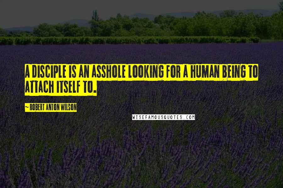 Robert Anton Wilson Quotes: A disciple is an asshole looking for a human being to attach itself to.