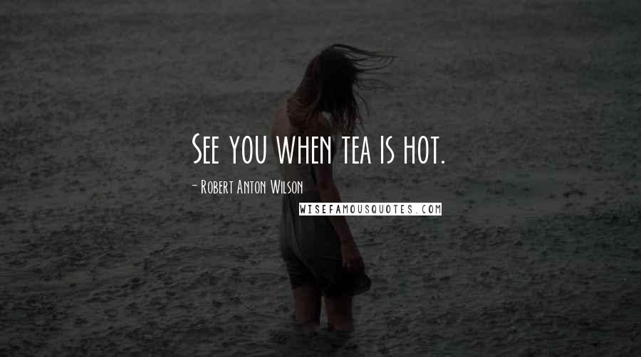 Robert Anton Wilson Quotes: See you when tea is hot.