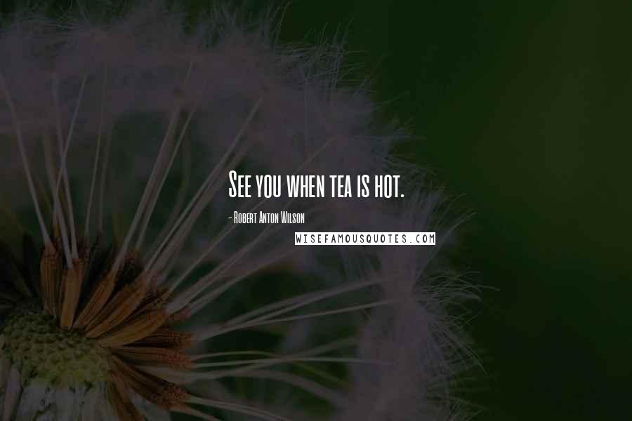 Robert Anton Wilson Quotes: See you when tea is hot.