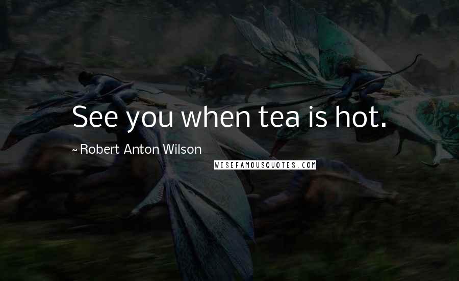 Robert Anton Wilson Quotes: See you when tea is hot.