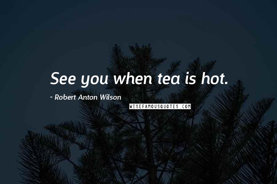 Robert Anton Wilson Quotes: See you when tea is hot.