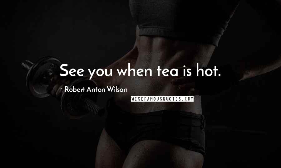 Robert Anton Wilson Quotes: See you when tea is hot.