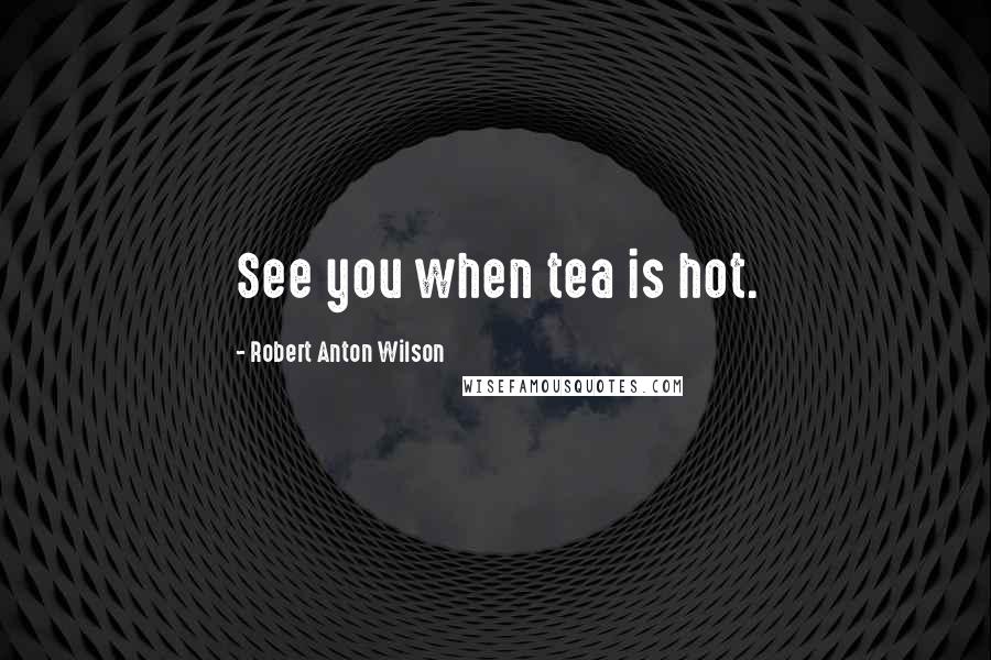 Robert Anton Wilson Quotes: See you when tea is hot.