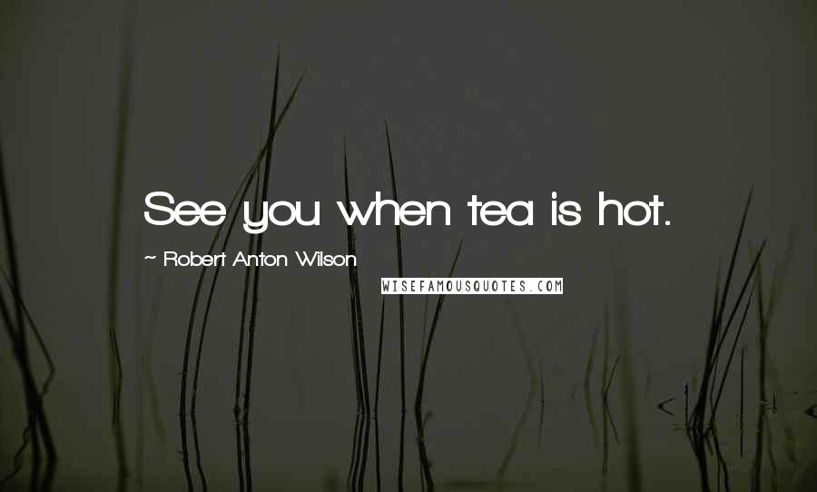 Robert Anton Wilson Quotes: See you when tea is hot.