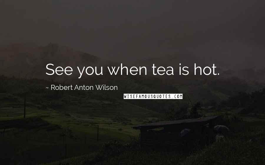 Robert Anton Wilson Quotes: See you when tea is hot.
