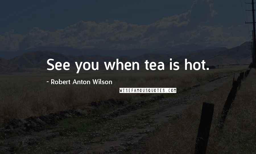Robert Anton Wilson Quotes: See you when tea is hot.