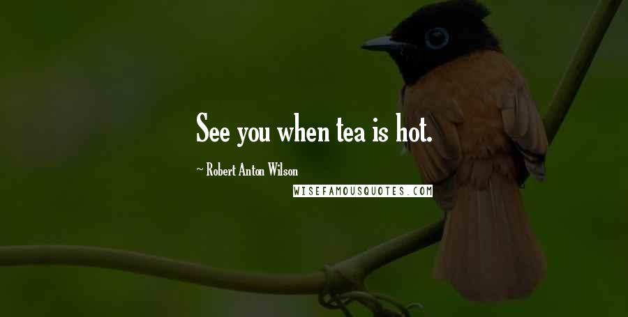 Robert Anton Wilson Quotes: See you when tea is hot.